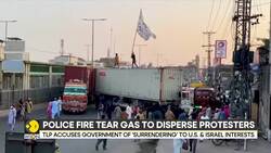 Pakistan: Security Forces & TLP Supporters Clash Ahead of Pro-Palestine March in Lahore News Clip