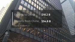 Huawei affair is having a chilling effect on the business world News Clip