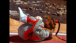 CANNONBALL Instructional Video