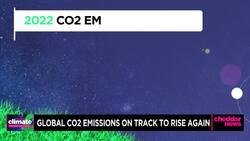 COP27: Global CO2 Emission on Track to Raise 1% This Year News Clip