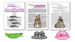 Why Is A Group Of Crows Called A “Murder”? Instructional Video