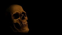 Human Skull on Solid Dark Background in Candlelight Stock Footage