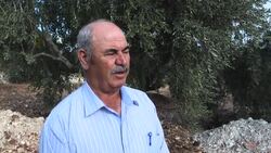 CLEAN : Israeli Palestinian olive growers face same climate challenge News Clip