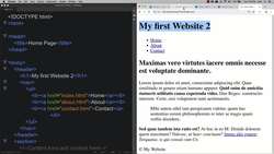 HTML CSS and JavaScript for Beginners - A Web Design Course - How to Use This Course Instructional Video