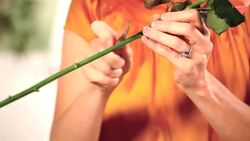 How to Make Roses Last Longer in a Floral Arrangement Instructional Video