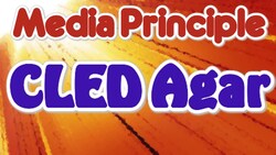 Cysteine Lactose Electrolyte Deficient Agar Instructional Video