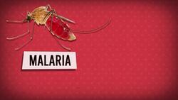 Building the Panama Canal Instructional Video