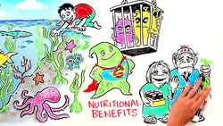 Is SeaWeed The Crop of the Future? Instructional Video