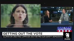 Filmmaker Offers Free Campaign Ads for Gun Safety Candidates News Clip