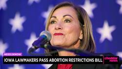 Controversial Abortion Law Passes in Iowa News Clip