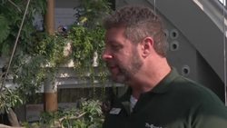 Bio dome brings tropical rain forest climate to the desert News Clip