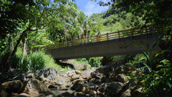 Common Ground Instructional Video