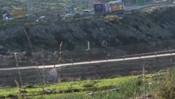 CLEAN : Israel studies new forest home for endangered mountain gazelle News Clip