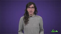 How Do Wetsuits Keep You Warm? Instructional Video