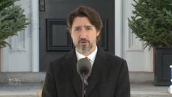 Canada will be 'very, very careful' on easing border restrictions: Trudeau News Clip