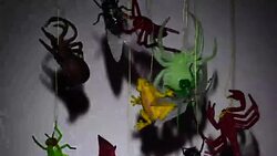 Atmosphere of Halloween Stock Footage