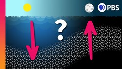 You'll Never Guess Where Earth's Largest Migration Happens Instructional Video