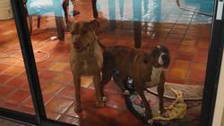 Impossible Water Fountain - DIY Instructional Video