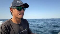 VOICED : La impresionante 'carrera de sardinas' en Sudáfrica News Clip