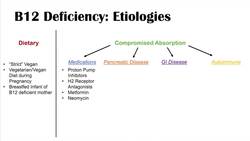 Causes of Vitamin B12 Deficiency | In-Depth Overview including Medications, Diseases & Fish Tapeworm Instructional Video