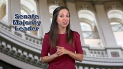 The Structure and Role of the Senate Instructional Video