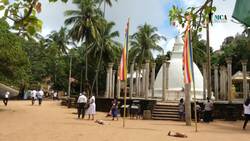 Exploring the Cultural Significance of Sri Lankan Temples Instructional Video