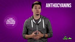 Why Do Leaves Change Color and Fall? Instructional Video