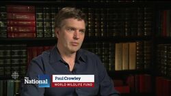 Drilling away an Obama legacy News Clip