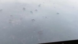 CLEAN : Brazil's Amazon burns at the "new deforestation border" at the north News Clip