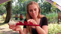 How Do Bees Sting? | Maddie Moate Instructional Video