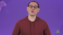 Why Is It so Hard to Swat a Fly? Instructional Video