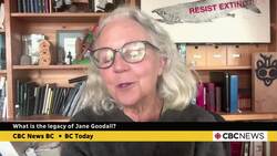 B.C. wildlife biologist reflects on legacy of Jane Goodall News Clip