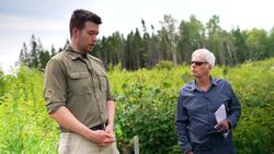 Will N.B.'s cold-loving trees still thrive in a warming climate? Researchers look to the future News Clip