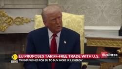 Trump rejects EU's zero tariff offer, cites trade imbalance News Clip