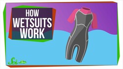 How Do Wetsuits Keep You Warm? Instructional Video