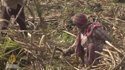 India state elections: Polls seen as test for PM Modi's support News Clip