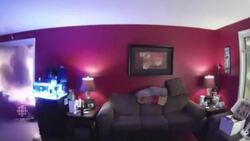 Family watches Fort McMurray home burn on security camera News Clip