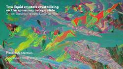 Looking for Answers in the Skull of a Zebrafish Instructional Video