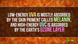 Should I Wear Sunscreen in the Winter? Instructional Video