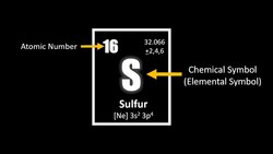 The Periodic Table Instructional Video