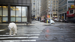 Courage: Conquering Fear and Embracing Change Instructional Video