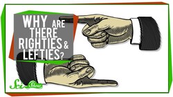 Why Are There Righties & Lefties? Instructional Video