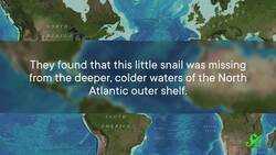 A Story of Wrong-Way Migration, Caused By Climate Change Instructional Video