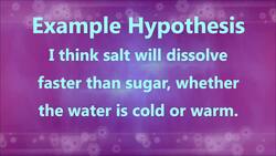 Factors Affecting Dissolving Rates Instructional Video