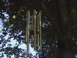 ¿Qué es el sonido?: introducción Instructional Video