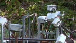 Phase 2 of cleanup begins at Bethpage Community Park Instructional Video