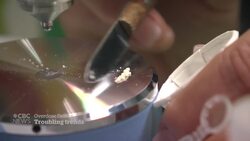 Calls for supply regulation as benzodiazepines appear in street narcotics across Canada News Clip