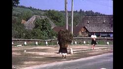 A trip to Romania, 1976. Stock Footage
