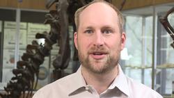 Scientists Discover Oldest Croc-Like Cousin to the Dinosaur! Instructional Video