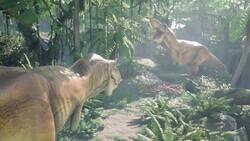 Can We Bring Back Dinosaurs (Just Like In Jurassic Park)? Instructional Video